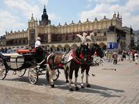 Medi-tour Polonia. Turismo medico, Il turismo sanitario in Polonia.