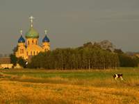 Medi-tour Polonia. Turismo medico, Il turismo sanitario in Polonia.