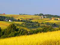 Medi-tour Polonia. Turismo medico, Il turismo sanitario in Polonia.